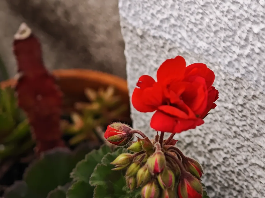 Xiaomi 15 Ultra 1744735525853 Xiaomi 15 Ultra