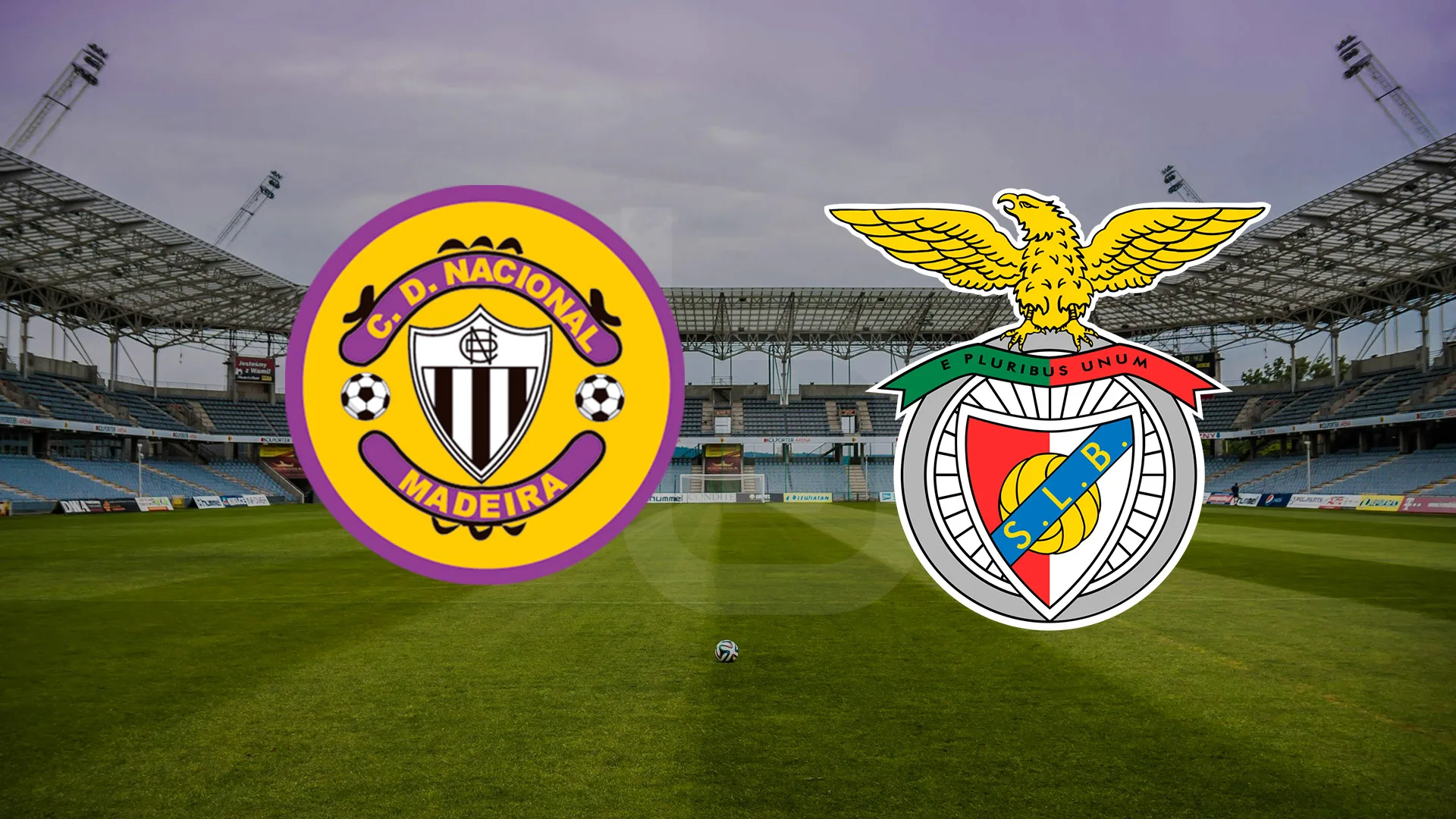 Onde e como ver o Nacional - Benfica para a Liga Portugal Betclic nacional-benfica
